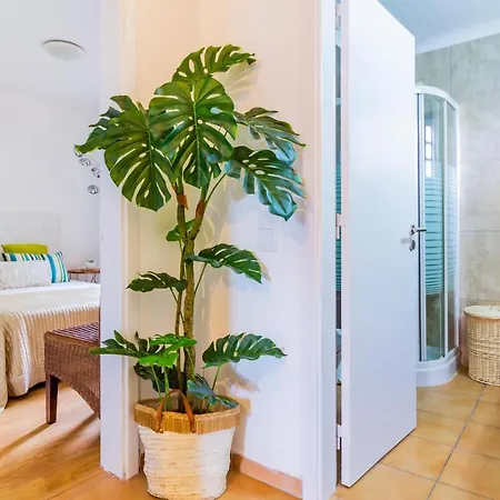 Apartment Sunny Oasis With Pool Albufeira